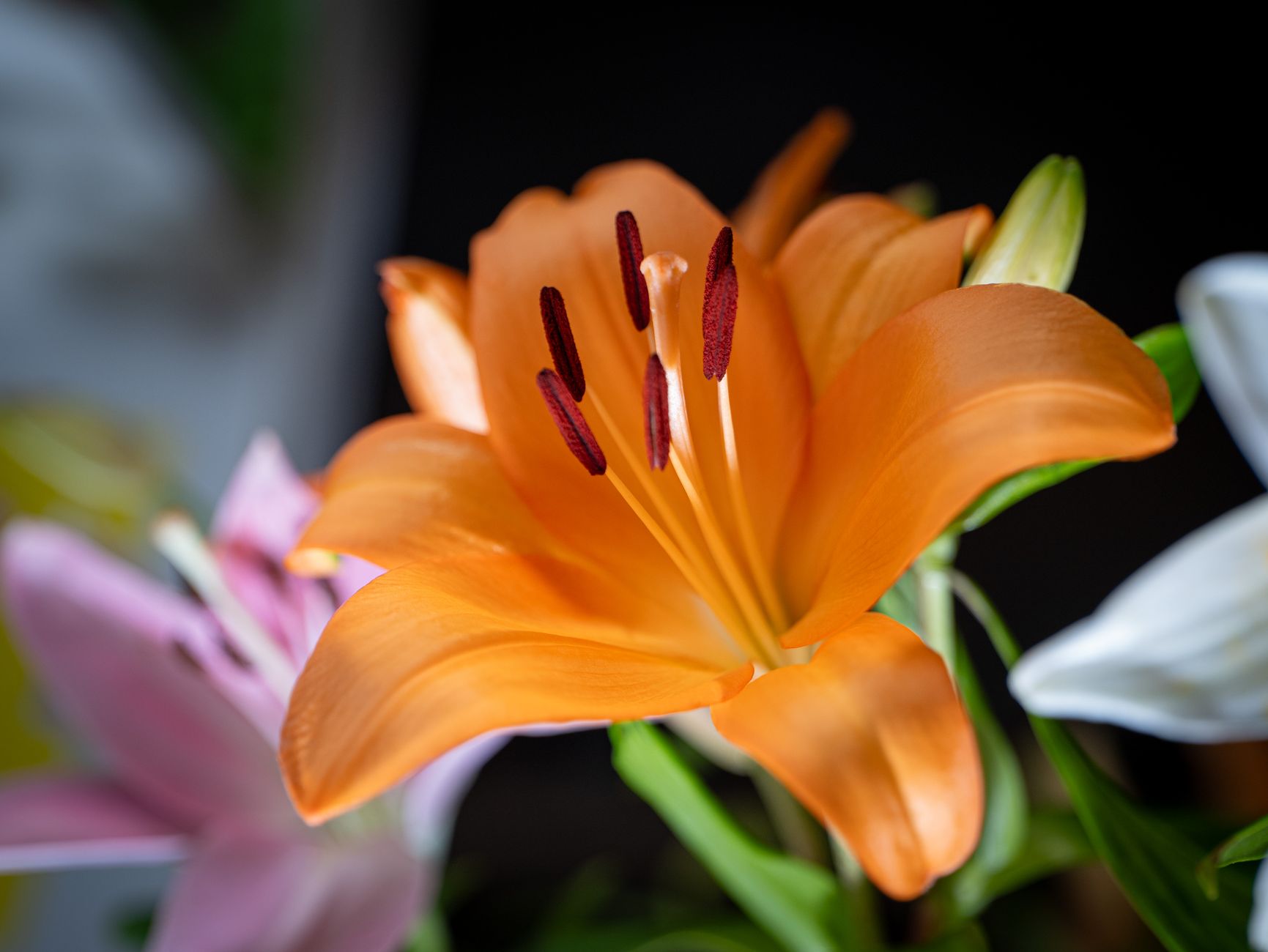 Livraison fleurs à Alfortville
